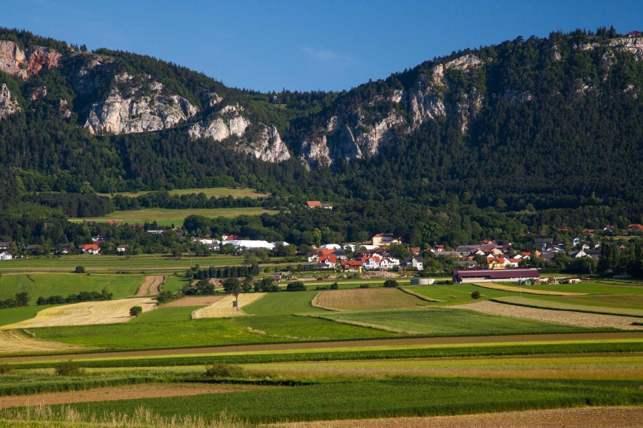 Farmhouse - Hohe Wand 호텔 Stollhof 외부 사진